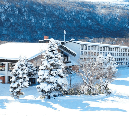 Early Bird package prices at Shiga Kogen Prince Hotel